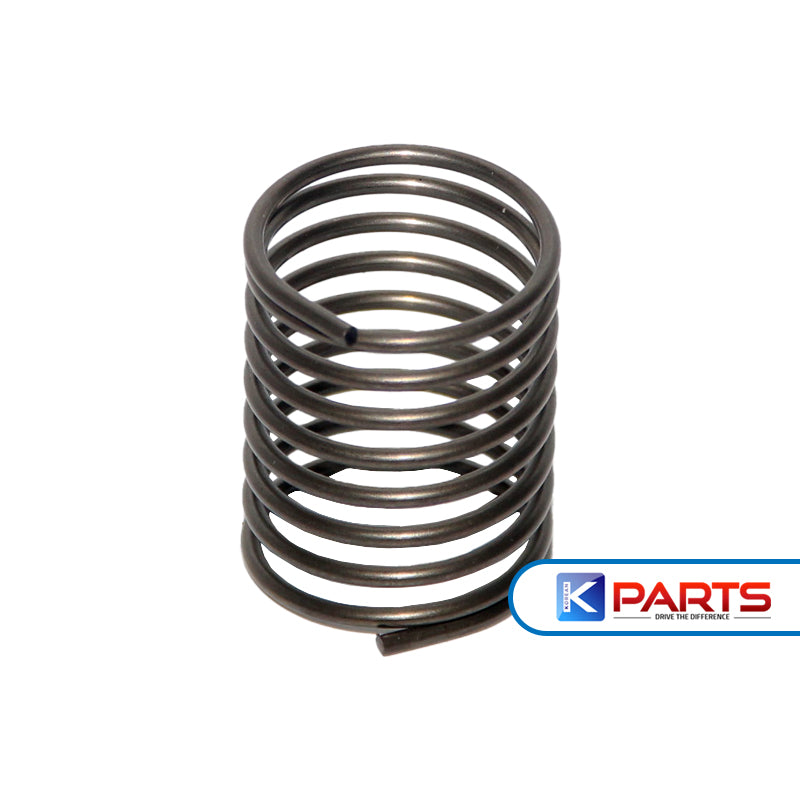 HYUNDAI H100 ALL ROCKER SHAFT SPRING-2454242900